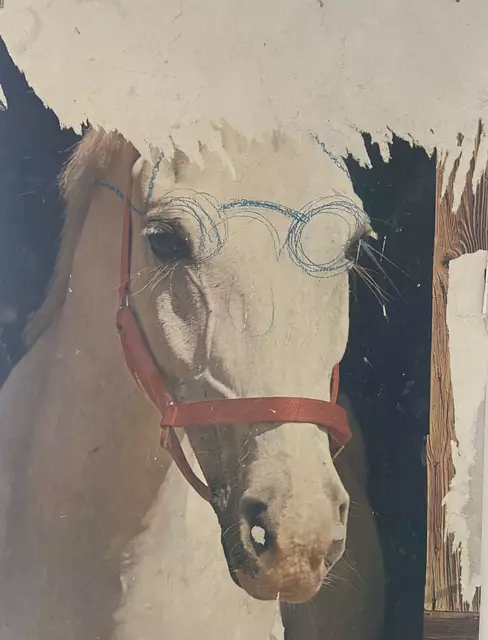 Foto: Josef Goldhofer