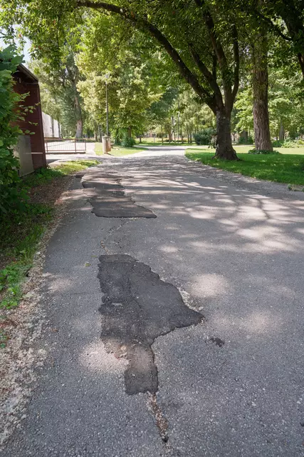 Viele Wege im Lehener Park befinden sich in einem schlechten Zustand | Foto: Stadt Salzburg/Alexander Killer