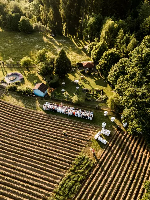 Zum Dinner geladen wurde dort, wo tiefe Verwurzelung und natürliches Aufgehobensein ihren Ursprung haben: unter freiem Himmel und umgeben von Bäumen am Erpfifeld von Doris Schreiber. | Foto: Matthias Streibel