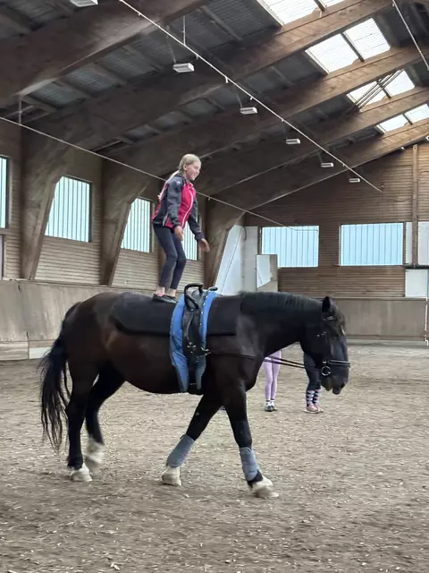 Aufstehen auf dem Pferd will gelernt sein, wie Lisa hier demonstriert. | Foto: Sarah Braun
