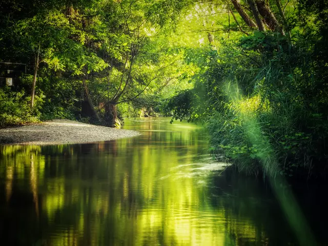 Der 22. Juni zeigt sich in Niederösterreich von seiner hochsommerlichen Seite. | Foto: Stephanie Brettschneider