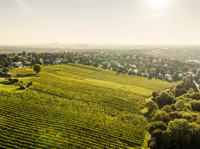 Foto: Weingut Edlmoser