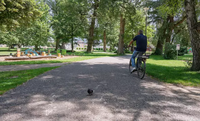 Die Arbeiten im Lehener Park starten am Montag, 23. Juni, und dauern voraussichtlich bis Mitte August | Foto: Stadt Salzburg/Alexander Killer