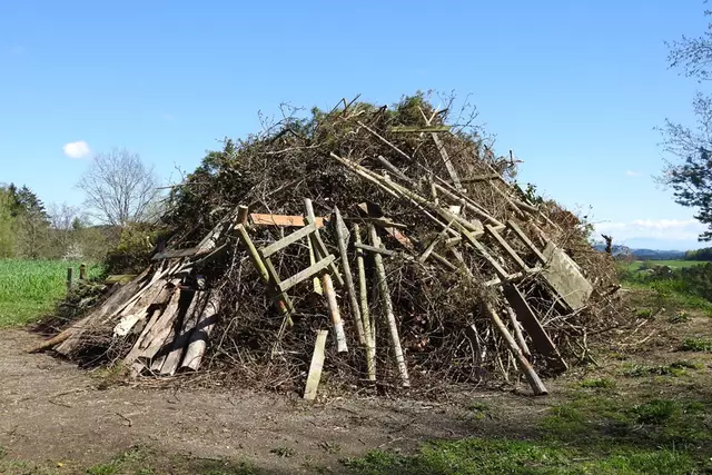 Asthaufen; © H. Kurz