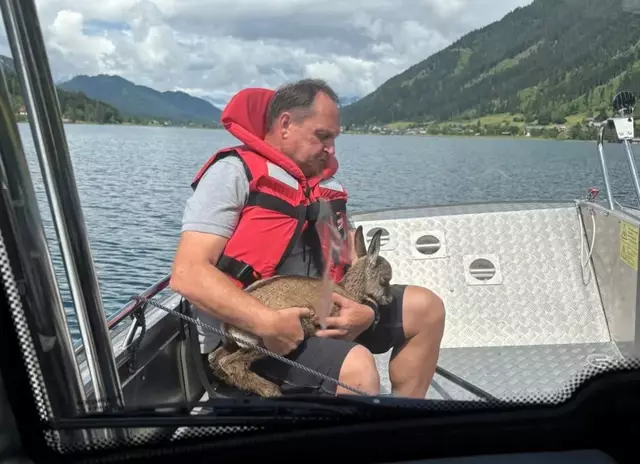 Hier sieht man das kleine Tier. | Foto: Feuerwehr Weissensee