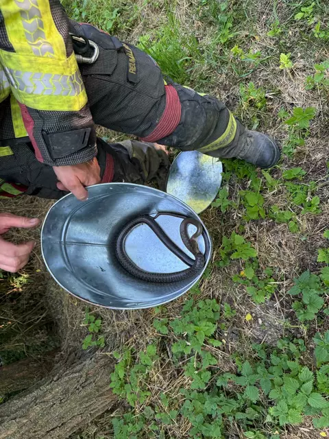 Foto: FF Ternitz-Pottschach