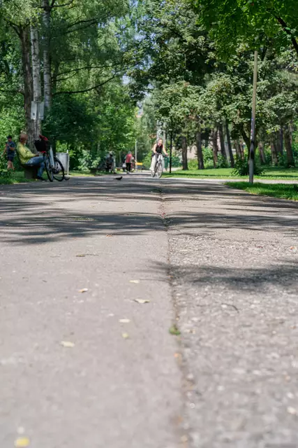 Die Arbeiten im Lehener Park starten am Montag, 23. Juni, und dauern voraussichtlich bis Mitte August | Foto: Stadt Salzburg/Alexander Killer