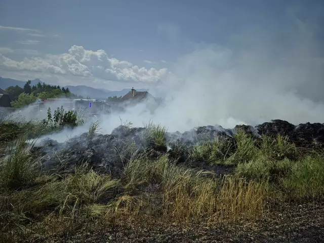 Der Brand brach auf einem Getreidefeld neben einer Landwirtschaft aus. | Foto: Feuerwehr Völkermarkt/Brodnig