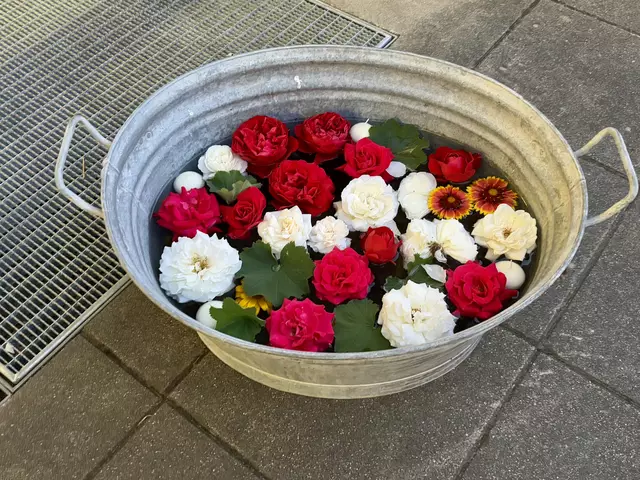 Foto: MeinBezirk/Hofmüller