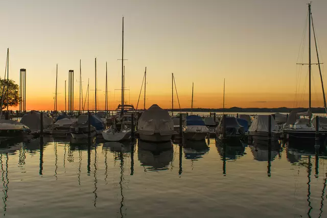 Am Bodensee in Vorarlberg wurden die meisten Stellen überprüft. | Foto: Christoph Skofic
