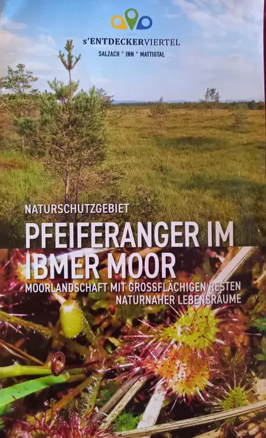 Foto: H.Bachinger 