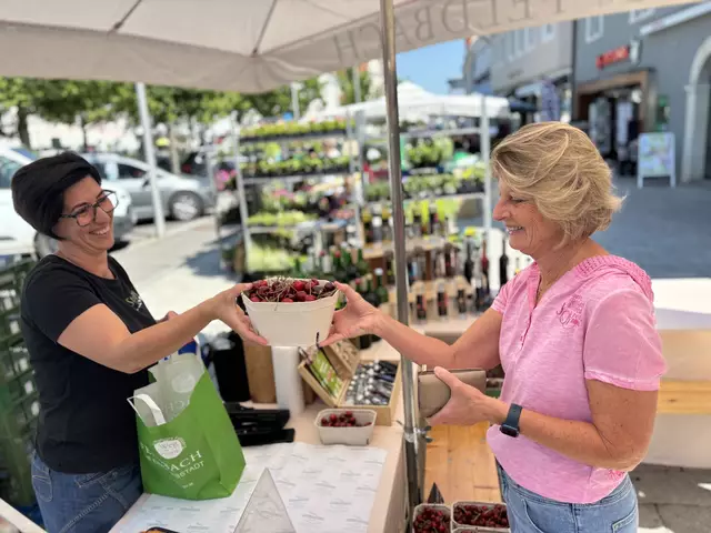 Einkaufen am Bauernmarkt Feldbach | Foto: MeinBezirk