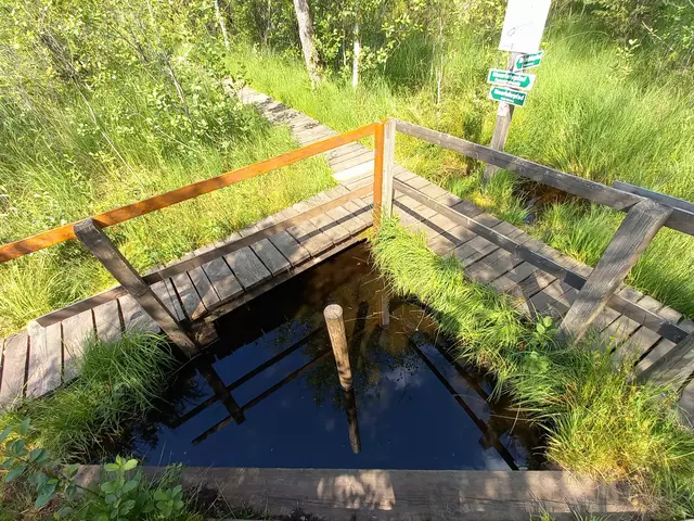 "Moorbad" | Foto: H.Bachinger 