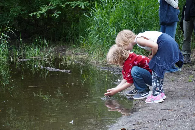 Rund um den Völser Teich gibt es viel zu entdecken. Einfacher wird es mit dem Wissen vom neuen Naturlehrpfad.  | Foto: AMG