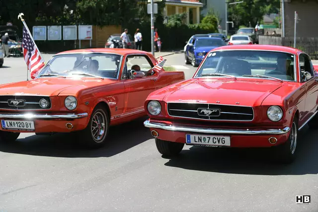 Foto: Bernd Haider