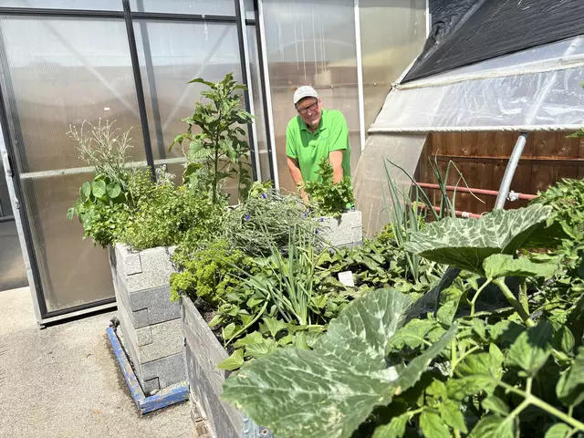 Österreichs Bio-Meistergärtner Erwin Seidemann in seinem  – derzeit etwas warmen – Reich. | Foto: Hassl