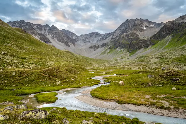 Bild 21: Hoffentlich bleibt dieses schöne Hochtal mit den größten Hochmoore Österreichs noch lange erhalten! | Foto: © WWF - Sebastian_Frölich