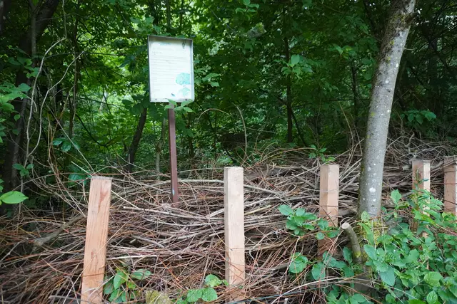 Nein hier wurde nicht vergessen aufzuräumen. Es handelt sich um eine sogenannte Totholzhecke, die als Zuhause von vielen Tieren dient.  | Foto: AMG