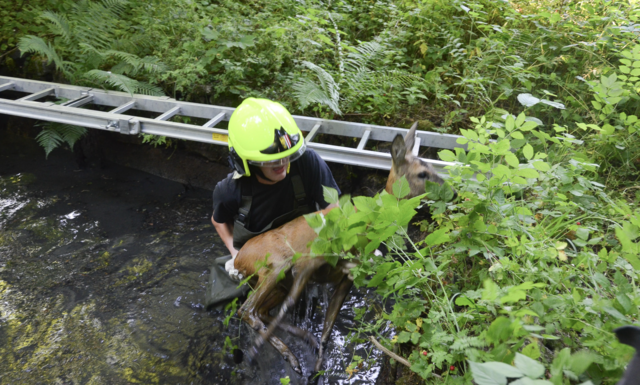 Foto: FF Schönering