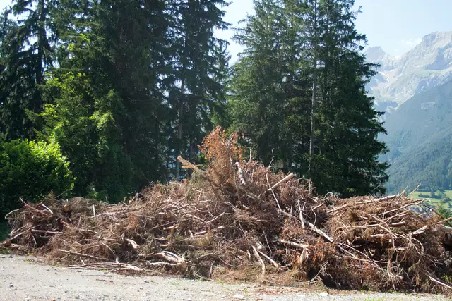 Bild 12: Ein großes Potenzial für Holzgas bieten neben Waldhackgut auch Reststoffe (wie z.B. Rinde) aus der holzverarbeitenden Industrie. Viele dieser Reststoffe wurden bisher nur verbrannt, wobei lediglich Wärme entsteht und viel Energie verloren geht. Fortsetzung unter nächsten Foto. | Foto: © Ing. Günter Kramarcsik