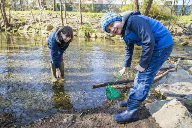 Spannende Entdeckungen am Liesingbach.  | Foto: BV23/Genitheim