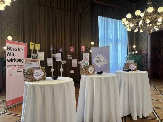 Die ausgewählten Ideen wurden im Rathaus mittels Infoständern präsentiert. | Foto: Michael Marbacher/MeinBezirk