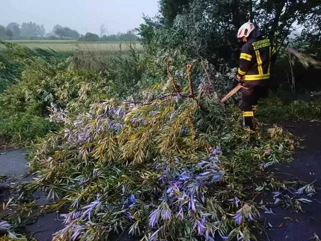 Heftige Sturmböen und Starkregen haben am Montagabend den Bezirk Oberwart schwer getroffen. Auf vielen Straßen mussten umgefallene Bäume entfernt werden.  | Foto: Feuerwehr Kohfidisch