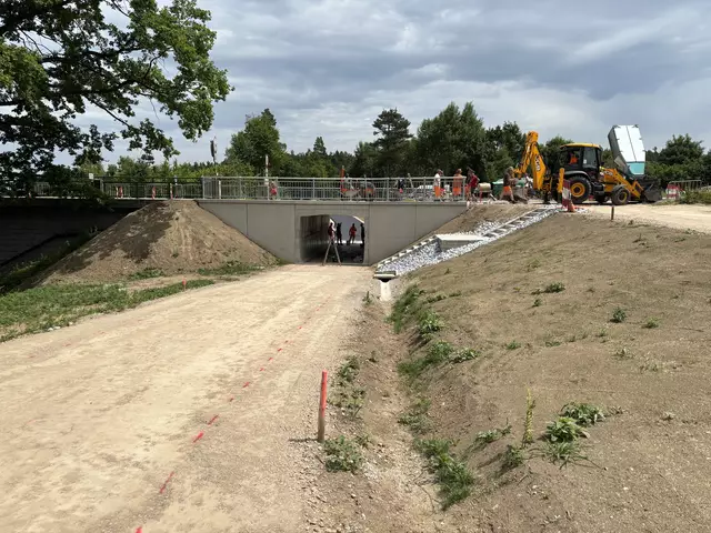 In wenigen Tagen sind die Arbeiten zur Gänze abgeschlossen. | Foto: Bernhard Schabauer