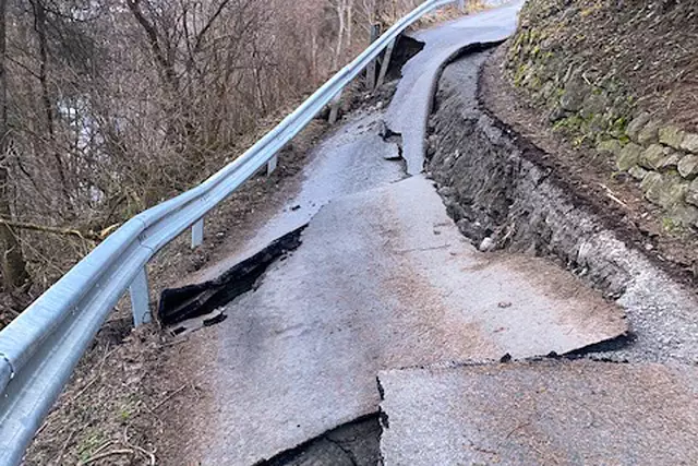 Bild 05: vergleiche Bild 04. Nur 1 Woche später! | Foto: © Ing. Günter Kramarcsik