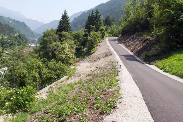 Bild 15: 2. Anstieg in Richtung bestehenden Forstweg der Agrargemeinschaft | Foto: © Ing. Günter Kramarcsik