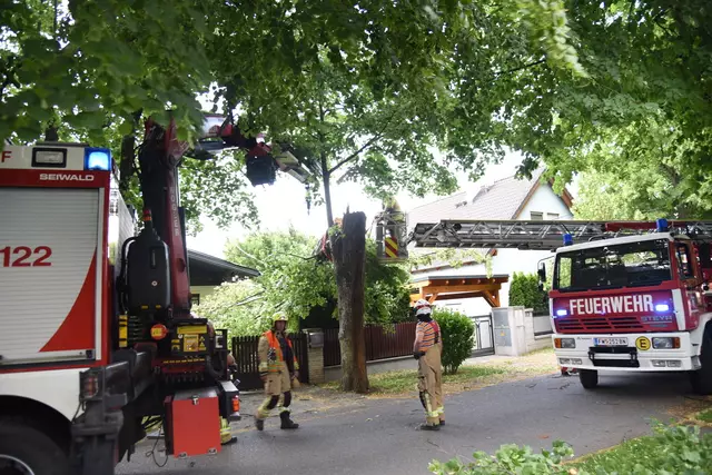 Besonders betroffen waren die Orte Weigelsdorf, Unterwaltersdorf, Pottendorf und Ebreichsdorf, wo mehrere Feuerwehren ausrücken mussten.

 | Foto: Thomas Lenger, Monatsrevue