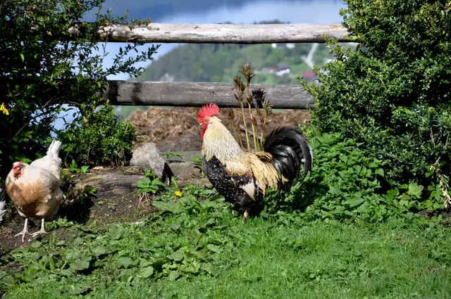 14 neue landwirtschaftliche Fachkräfte für die Bauernhöfe in unserer Region | Foto: Ingo Wandler