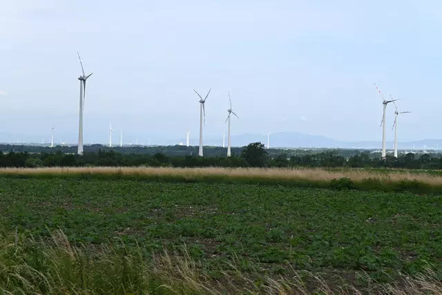 Felder und Windräder gegenüber Naturpark