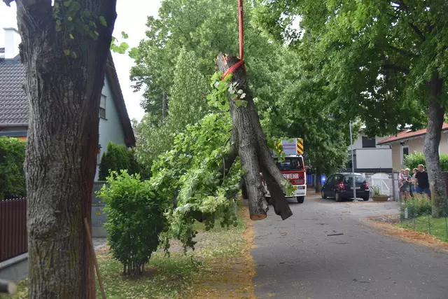 Unwetter sorgt für zahlreiche Feuerwehreinsätze im Bezirk Baden | Foto: Thomas Lenger, Monatsrevue
