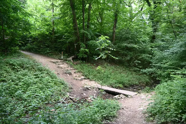Weg über den Arbach