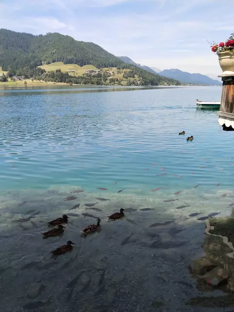 Der Naturpark Weissensee bietet auch diesen Sommer ein breites Veranstaltungsangebot.  | Foto: MeinBezirk