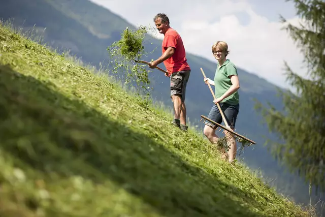 14 neue landwirtschaftliche Fachkräfte für die Bauernhöfe in unserer Region | Foto: Martin Lugger