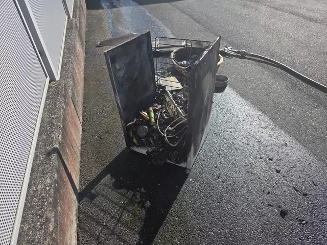 Der Brand ging von einem Kühlschrank aus und griff auf eine Gefriertruhe über. | Foto: Bezirksfeuerwehrkommando Güssing