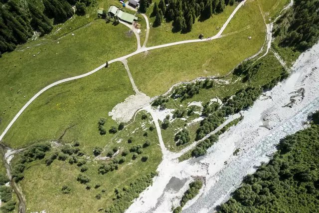 Eine Schlüsselmaßnahme war der Bau eines kleinen Schutzdamms, der zum einen die Weidefreistellung im fragilsten Bereich des rund vier Hektar großen Auwalds erleichtert und zum anderen die Weideflächen absichert. Zusätzlich wurden rund 150 junge Grauerlen gesetzt, um die Naturverjüngung und Revitalisierung des gefährdeten Erlenbestands zu flankieren.
 | Foto: Flo Smith