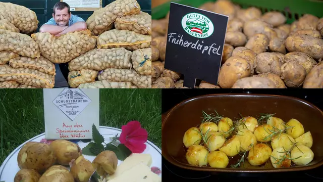 Martin Kleinfercher frwut sich auf die Verkostungen am Donnerstag und Freitag. | Foto: Privat