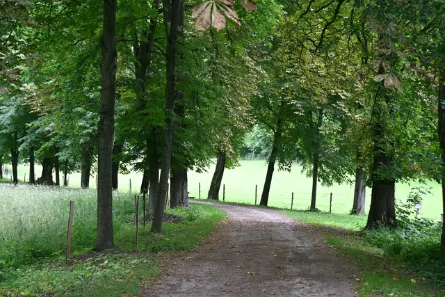 Beginn der Lindenallee
