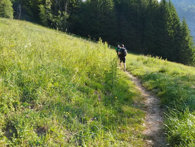 Foto: Veronika Frank