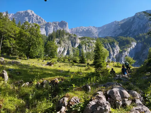 Mittendrin im Naturparadies: Die Wanderung auf die Hesshütte ist ein Erlebnis für alle Sinne. | Foto: Veronika Frank