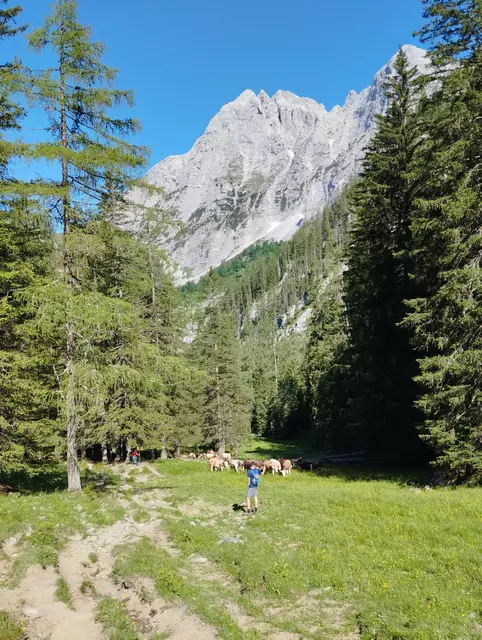 Foto: Veronika Frank