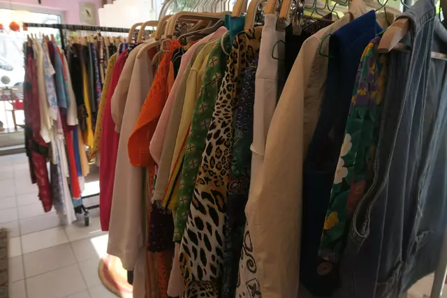 Foto: Patricia Hillinger/MeinBezirk