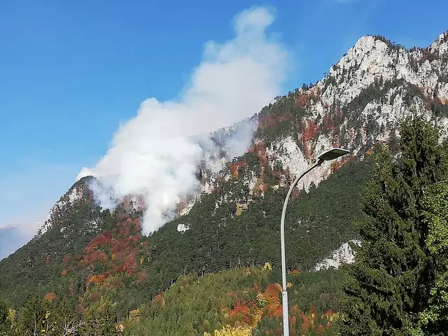 Ein Foto des Waldbrands 2021. | Foto: Reinhold Luschnitz