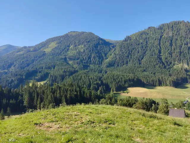 Foto: Veronika Frank