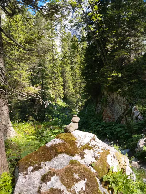 Foto: Veronika Frank