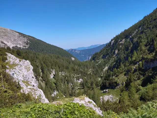 Foto: Veronika Frank