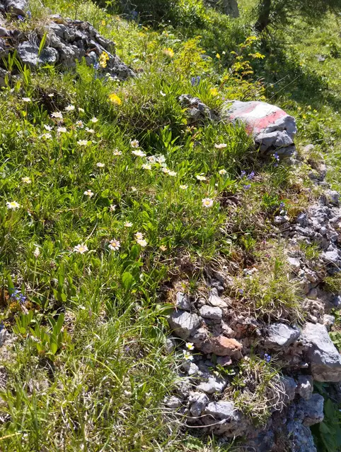 Foto: Veronika Frank